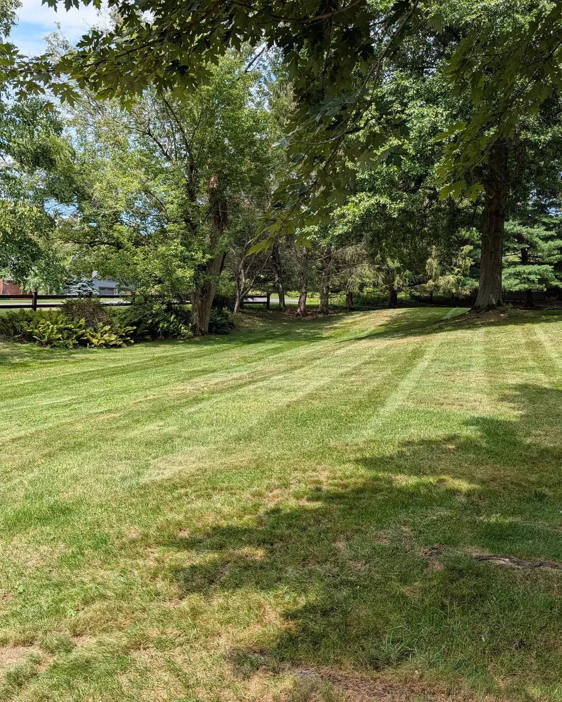 A wide residential lawn cut in clean stripes on a Capital Region property