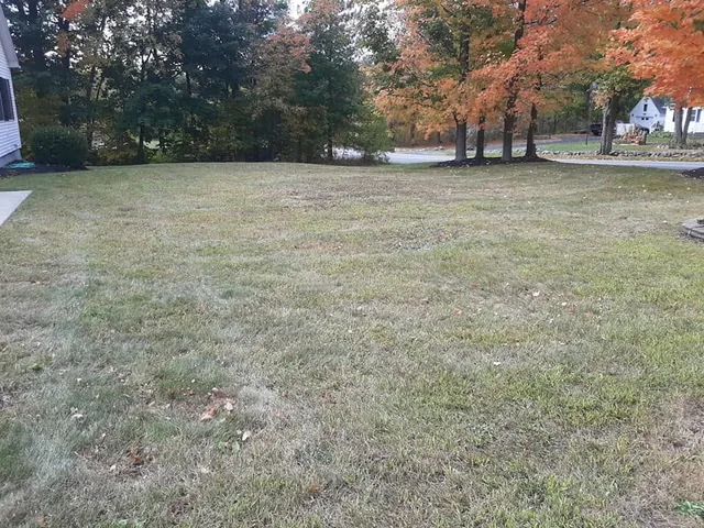 A cleared lawn under autumn trees after a fall clean-up