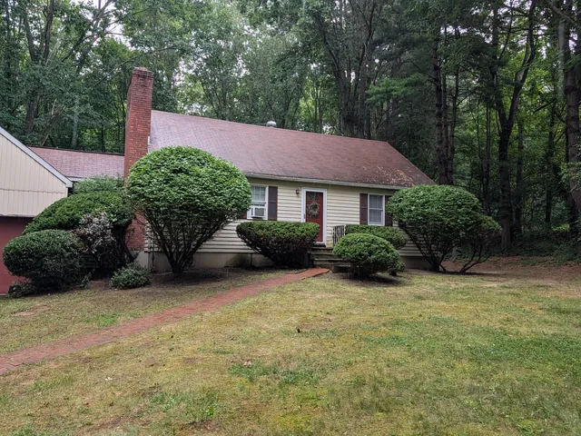 A house frontage with shaped shrubs and a cleaned-up bed line
