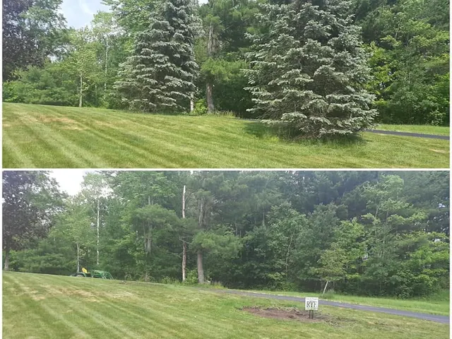 The same roadside before and after: two mature spruces standing against the tree line, then the cleared and levelled ground with a J&J Ryf sign in place