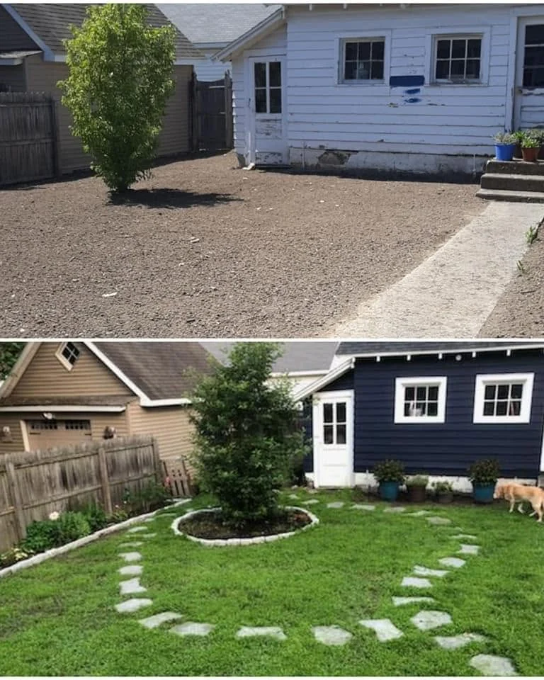 The same back yard before and after: bare gravel and dirt on top, and below it an established lawn with a stepping-stone path and a planted ring around the tree